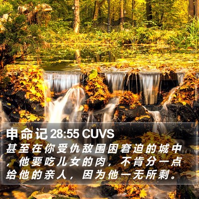 申 命 记 28:55 CUVS Bible Verse Image