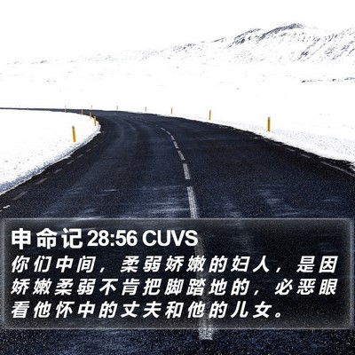 申 命 记 28:56 CUVS Bible Verse Image