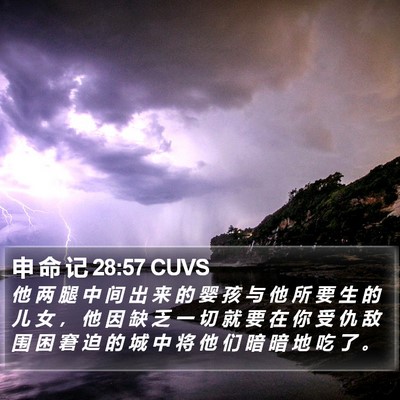 申 命 记 28:57 CUVS Bible Verse Image