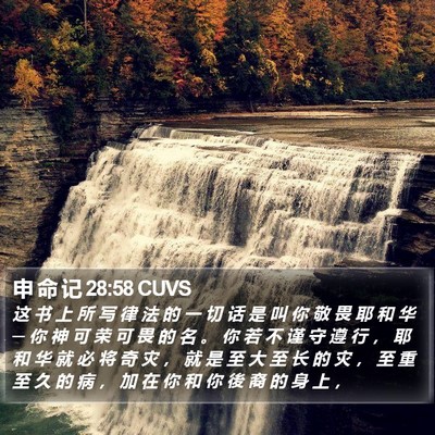 申 命 记 28:58 CUVS Bible Verse Image