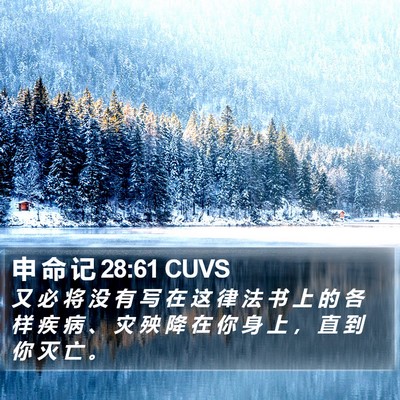 申 命 记 28:61 CUVS Bible Verse Image