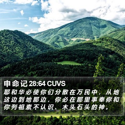 申 命 记 28:64 CUVS Bible Verse Image