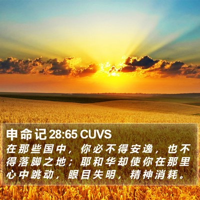 申 命 记 28:65 CUVS Bible Verse Image