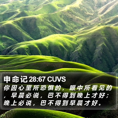 申 命 记 28:67 CUVS Bible Verse Image