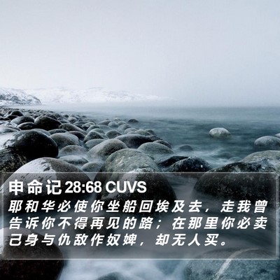 申 命 记 28:68 CUVS Bible Verse Image