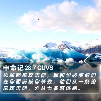 申 命 记 28:7 CUVS Bible Verse Image