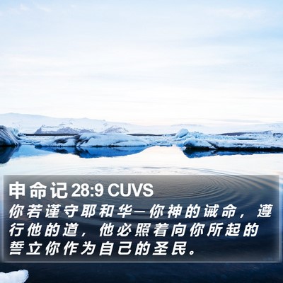 申 命 记 28:9 CUVS Bible Verse Image