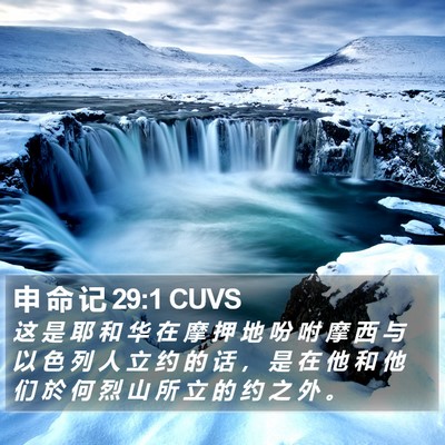 申 命 记 29:1 CUVS Bible Verse Image