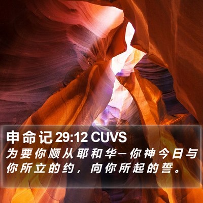 申 命 记 29:12 CUVS Bible Verse Image
