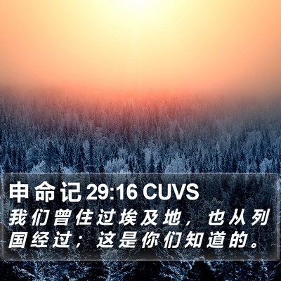 申 命 记 29:16 CUVS Bible Verse Image