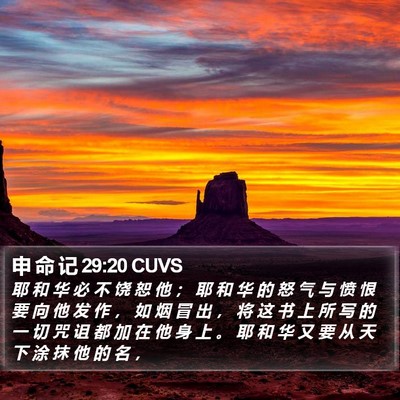 申 命 记 29:20 CUVS Bible Verse Image