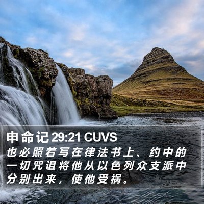 申 命 记 29:21 CUVS Bible Verse Image