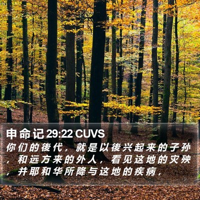 申 命 记 29:22 CUVS Bible Verse Image