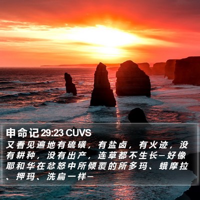 申 命 记 29:23 CUVS Bible Verse Image