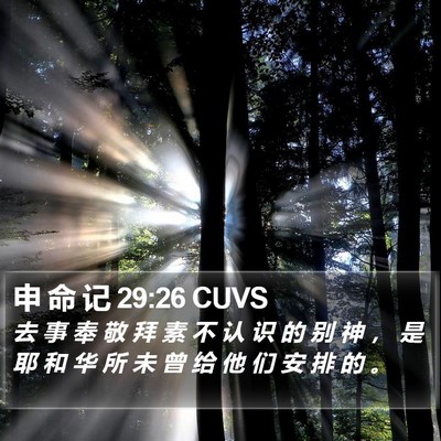 申 命 记 29:26 CUVS Bible Verse Image