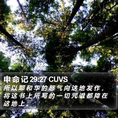 申 命 记 29:27 CUVS Bible Verse Image