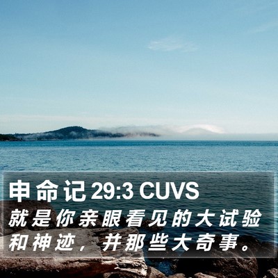 申 命 记 29:3 CUVS Bible Verse Image