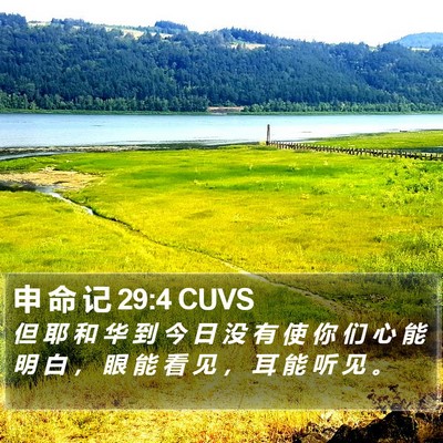 申 命 记 29:4 CUVS Bible Verse Image