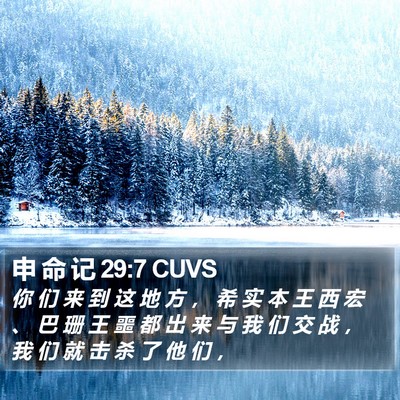 申 命 记 29:7 CUVS Bible Verse Image
