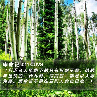 申 命 记 3:11 CUVS Bible Verse Image