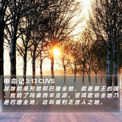 申 命 记 3:13 CUVS Bible Verse Image