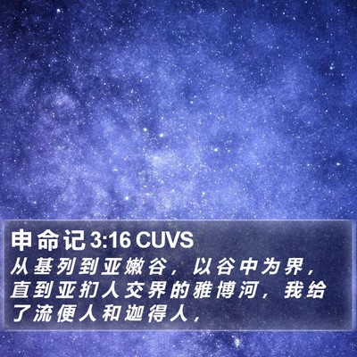 申 命 记 3:16 CUVS Bible Verse Image