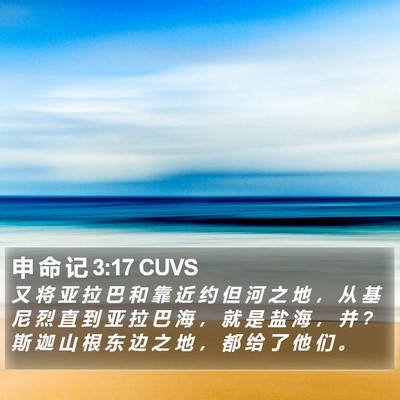 申 命 记 3:17 CUVS Bible Verse Image