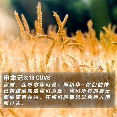 申 命 记 3:18 CUVS Bible Verse Image