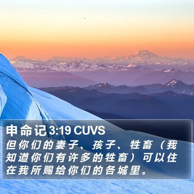 申 命 记 3:19 CUVS Bible Verse Image