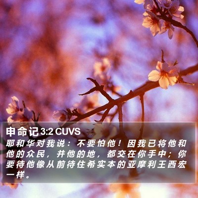 申 命 记 3:2 CUVS Bible Verse Image