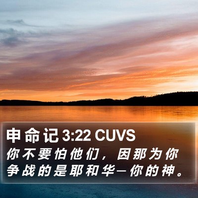 申 命 记 3:22 CUVS Bible Verse Image
