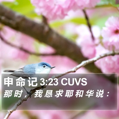 申 命 记 3:23 CUVS Bible Verse Image