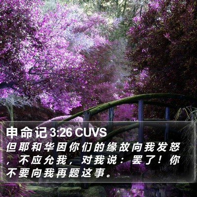 申 命 记 3:26 CUVS Bible Verse Image