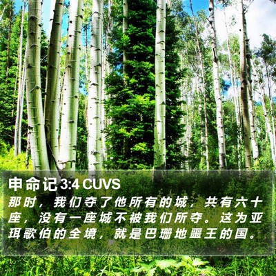 申 命 记 3:4 CUVS Bible Verse Image