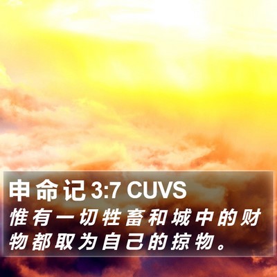 申 命 记 3:7 CUVS Bible Verse Image