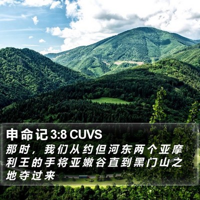 申 命 记 3:8 CUVS Bible Verse Image