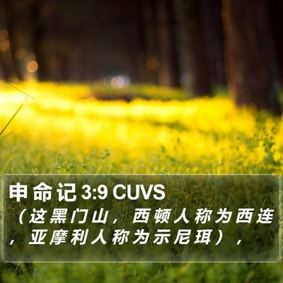 申 命 记 3:9 CUVS Bible Verse Image