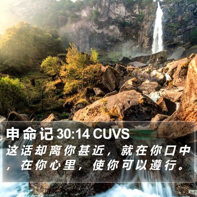 申 命 记 30:14 CUVS Bible Verse Image