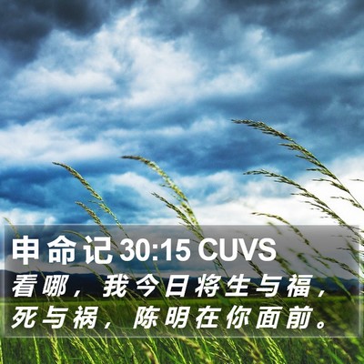 申 命 记 30:15 CUVS Bible Verse Image