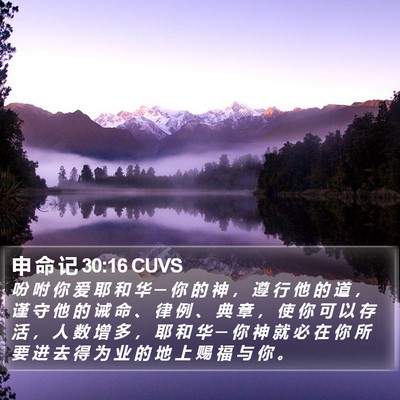 申 命 记 30:16 CUVS Bible Verse Image