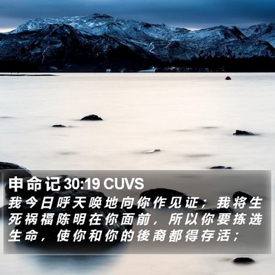申 命 记 30:19 CUVS Bible Verse Image