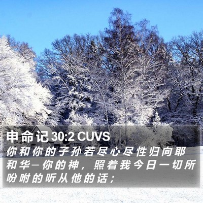 申 命 记 30:2 CUVS Bible Verse Image