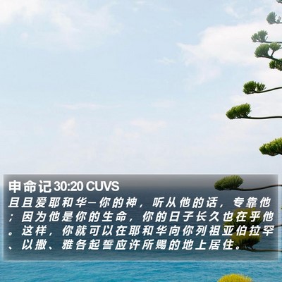 申 命 记 30:20 CUVS Bible Verse Image
