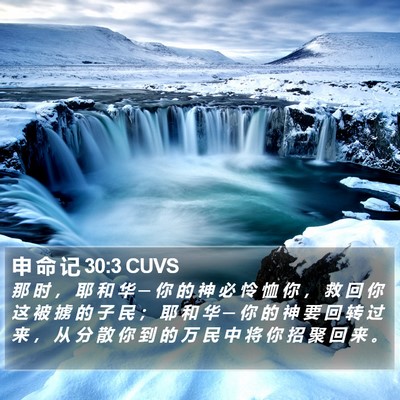 申 命 记 30:3 CUVS Bible Verse Image