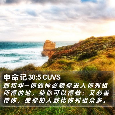申 命 记 30:5 CUVS Bible Verse Image
