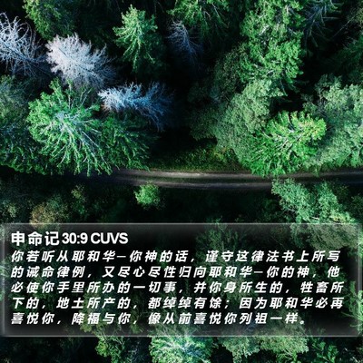 申 命 记 30:9 CUVS Bible Verse Image