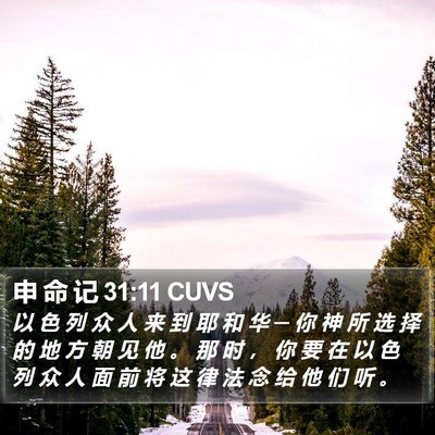 申 命 记 31:11 CUVS Bible Verse Image