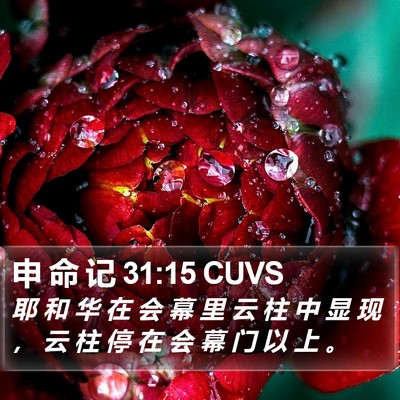 申 命 记 31:15 CUVS Bible Verse Image