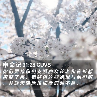 申 命 记 31:28 CUVS Bible Verse Image