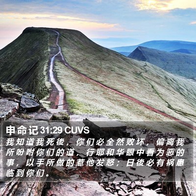 申 命 记 31:29 CUVS Bible Verse Image